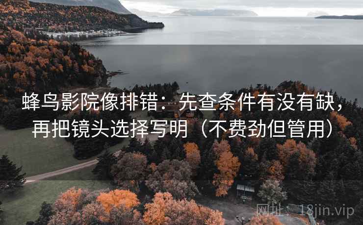 蜂鸟影院像排错：先查条件有没有缺，再把镜头选择写明（不费劲但管用）
